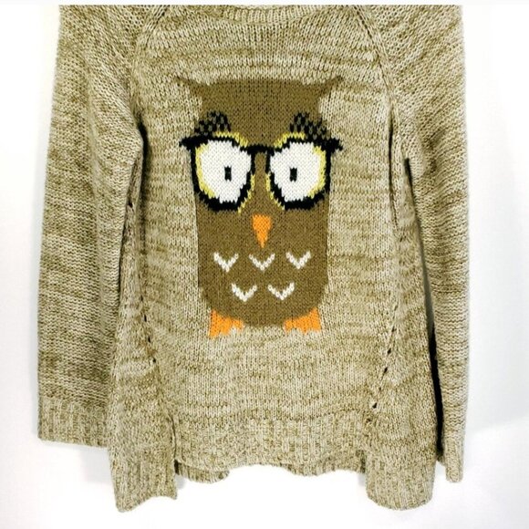 Democracy Fall Comfy Oatmeal Owl Oversized pullover sweater teacher Novelty L - Picture 2 of 5